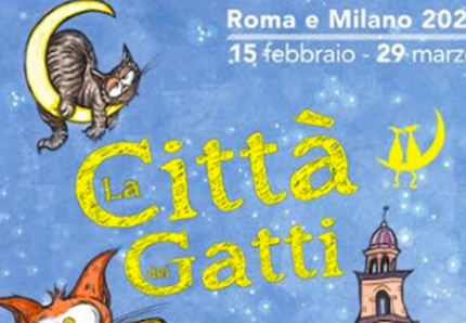 rassegna citta gatti